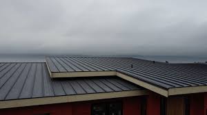 Best Sheet Metal Roofing  in Grafton, WV